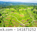星峠梯田（新潟縣十日町市） 141873252