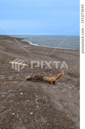 來自鄂霍次克海的浮木 141873645