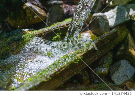 山梨縣笛吹市湧出的著名泉水“藥王水”,以及苔蘚覆蓋的森林的美麗景色。 山梨縣笛吹市湧出的著名泉水“藥王水”,以及苔蘚覆蓋的森林的美麗景色。 141874425
