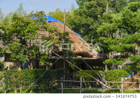 Fresh roof replacement Fresh roof replacement 141874753