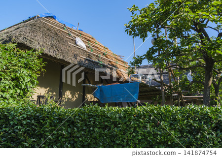 Thatching of a roof Thatching of a roof 141874754