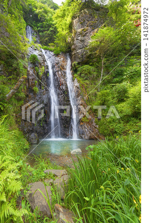 Gotaba Waterfall Gotaba Waterfall 141874972