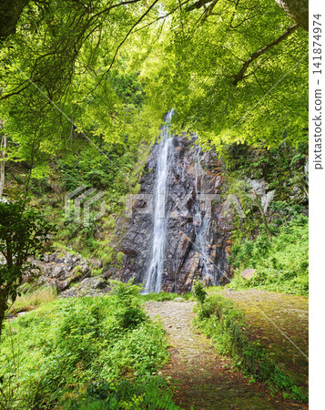 Gotaba Waterfall Gotaba Waterfall 141874974