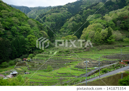 島根縣 / 蓄水季節美麗的“大谷梯田”,綠意盎然,石砌梯田綿延不絕。 島根縣 / 蓄水季節美麗的“大谷梯田”,綠意盎然,石砌梯田綿延不絕。 141875354