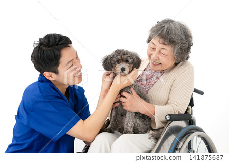 Senior woman in a wheelchair and therapy dog Senior woman in a wheelchair and therapy dog 141875687