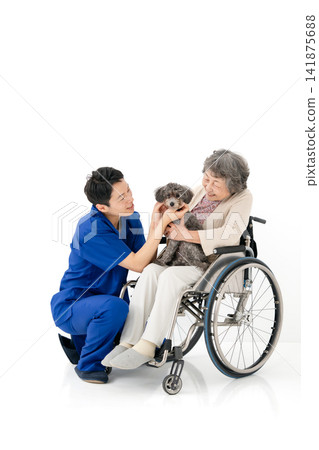 Senior woman in a wheelchair and therapy dog Senior woman in a wheelchair and therapy dog 141875688