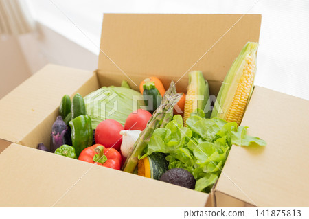 食品原料:紙箱內裝各種蔬菜 食品原料:紙箱內裝各種蔬菜 141875813