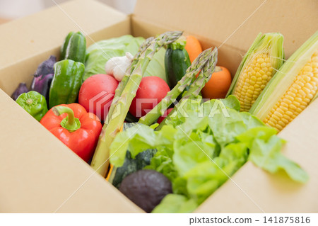 食品原料：紙箱內裝各種蔬菜 141875816