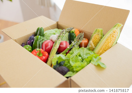 食品原料:紙箱內裝各種蔬菜 食品原料:紙箱內裝各種蔬菜 141875817