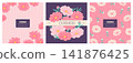 Cosmos flower background design set (square shape) 141876425