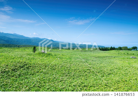 原始森林和知床山脈 141876653