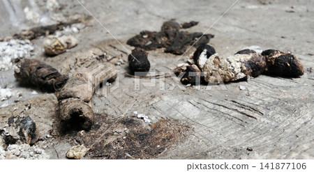 Dried cat litter on a rough, weathered wooden surface. Dried cat litter on a rough, weathered wooden surface. 141877106