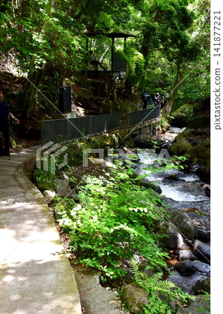 Yugawara Town, Manyo Park, Yugawara Soyugawa Path, Chitose River and Fresh Greenery Yugawara Town, Manyo Park, Yugawara Soyugawa Path, Chitose River and Fresh Greenery 141877221