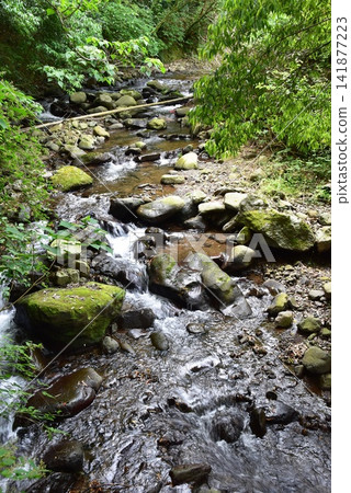 湯河原町,萬葉公園 湯河原草湯:千歲川和綠意盎然的景色,可以釣櫻鮭。 湯河原町,萬葉公園 湯河原草湯:千歲川和綠意盎然的景色,可以釣櫻鮭。 141877223
