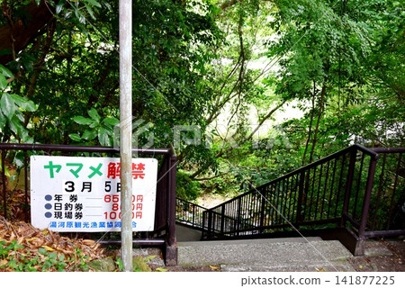 湯河原町:千歲川的入口,可以在這裡釣櫻鮭,有告示牌宣布櫻鮭捕撈季節的開始,還有新鮮的綠植。 湯河原町:千歲川的入口,可以在這裡釣櫻鮭,有告示牌宣布櫻鮭捕撈季節的開始,還有新鮮的綠植。 141877225