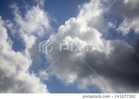 九月奄美大島的藍天和升起的白色積雨雲。 141877302