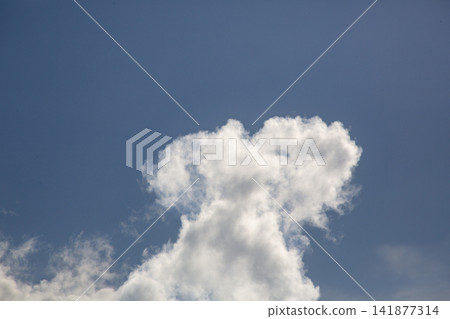 九月奄美大島的藍天和升起的白色積雨雲。 九月奄美大島的藍天和升起的白色積雨雲。 141877314