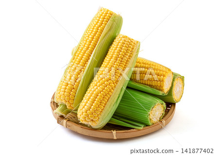 fresh sweet corn cobs with husks arranged on a wooden tray fresh sweet corn cobs with husks arranged on a wooden tray 141877402