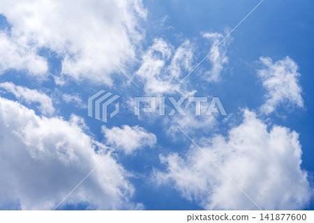 Summer sky, blue sky, summer, August image [Kanagawa Prefecture] 141877600