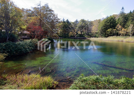 A clear pond where aquatic plants and fallen trees are visible (Ushiike Pond, Tsumagoi Village, Gunma Prefecture) A clear pond where aquatic plants and fallen trees are visible (Ushiike Pond, Tsumagoi Village, Gunma Prefecture) 141878221