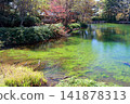 A clear pond where aquatic plants and fallen trees are visible (Ushiike Pond, Tsumagoi Village, Gunma Prefecture) 141878313