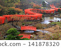 A beautiful Japanese shrine with a row of vermilion torii gates (Takayama Inari Shrine, Tsugaru City, Aomori Prefecture) 141878320