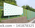Election Poster Board 141878325