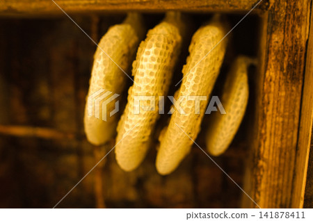 honeycomb honeycomb 141878411