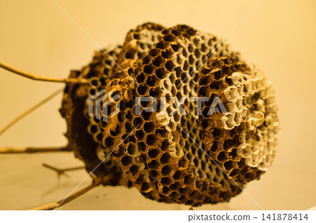 honeycomb honeycomb 141878414