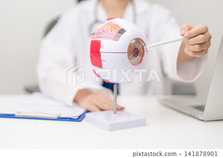 Doctor with human Eye anatomy model with magnifying glass. Eye disease, Refractive Errors, Age Related Macular Degeneration, Cataract, Diabetic Retinopathy, Glaucoma, Amblyopia, Strabismus and Health Doctor with human Eye anatomy model with magnifying glass. Eye disease, Refractive Errors, Age Related Macular Degeneration, Cataract, Diabetic Retinopathy, Glaucoma, Amblyopia, Strabismus and Health 141878901