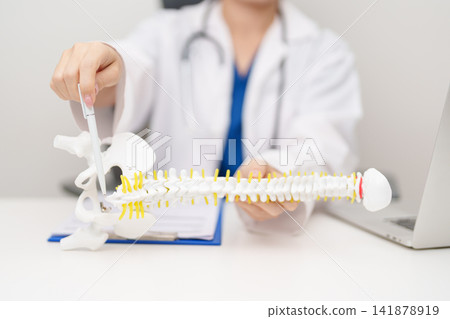 Doctor with human Spine anatomy model. Spinal Cord Disorder and disease, Back pain, Lumbar, Sacral pelvis, Cervical neck, Thoracic, Coccyx, Orthopedist, chiropractic, Office Syndrome and health Doctor with human Spine anatomy model. Spinal Cord Disorder and disease, Back pain, Lumbar, Sacral pelvis, Cervical neck, Thoracic, Coccyx, Orthopedist, chiropractic, Office Syndrome and health 141878919
