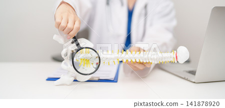 Doctor with human Spine anatomy model. Spinal Cord Disorder and disease, Back pain, Lumbar, Sacral pelvis, Cervical neck, Thoracic, Coccyx, Orthopedist, chiropractic, Office Syndrome and health Doctor with human Spine anatomy model. Spinal Cord Disorder and disease, Back pain, Lumbar, Sacral pelvis, Cervical neck, Thoracic, Coccyx, Orthopedist, chiropractic, Office Syndrome and health 141878920