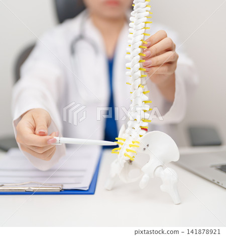 Doctor with human Spine anatomy model. Spinal Cord Disorder and disease, Back pain, Lumbar, Sacral pelvis, Cervical neck, Thoracic, Coccyx, Orthopedist, chiropractic, Office Syndrome and health Doctor with human Spine anatomy model. Spinal Cord Disorder and disease, Back pain, Lumbar, Sacral pelvis, Cervical neck, Thoracic, Coccyx, Orthopedist, chiropractic, Office Syndrome and health 141878921