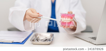 Dentist with tooth Anatomy model. Oral Teeth and disease, Scrape off tartar. March Oral health, Dentist Day, False Teeth. Toothache and Children Dental Health Month and Orthodontic Health Day Dentist with tooth Anatomy model. Oral Teeth and disease, Scrape off tartar. March Oral health, Dentist Day, False Teeth. Toothache and Children Dental Health Month and Orthodontic Health Day 141878926