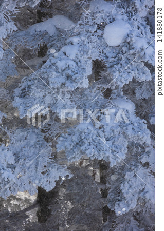 奧飛驒的冬天:新穗高索道上鑽石粉塵翩翩起舞 奧飛驒的冬天:新穗高索道上鑽石粉塵翩翩起舞 141880178