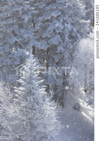 Winter in Okuhida: Diamond dust dances at the Shinhotaka Ropeway Winter in Okuhida: Diamond dust dances at the Shinhotaka Ropeway 141880185