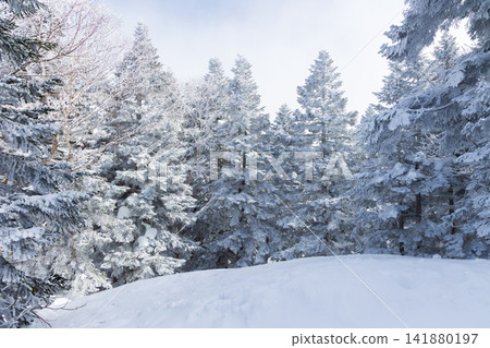 Winter in Okuhida: Diamond dust swirling around the Shinhotaka Ropeway, the forest at the summit. Winter in Okuhida: Diamond dust swirling around the Shinhotaka Ropeway, the forest at the summit. 141880197
