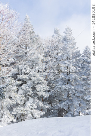Winter in Okuhida: Diamond dust swirling around the Shinhotaka Ropeway, the forest at the summit. Winter in Okuhida: Diamond dust swirling around the Shinhotaka Ropeway, the forest at the summit. 141880198