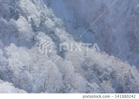 Winter in Okuhida: Views from the Shinhotaka Ropeway Winter in Okuhida: Views from the Shinhotaka Ropeway 141880242
