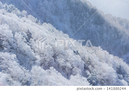 Winter in Okuhida: Views from the Shinhotaka Ropeway Winter in Okuhida: Views from the Shinhotaka Ropeway 141880244