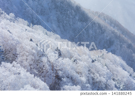 Winter in Okuhida: Views from the Shinhotaka Ropeway Winter in Okuhida: Views from the Shinhotaka Ropeway 141880245