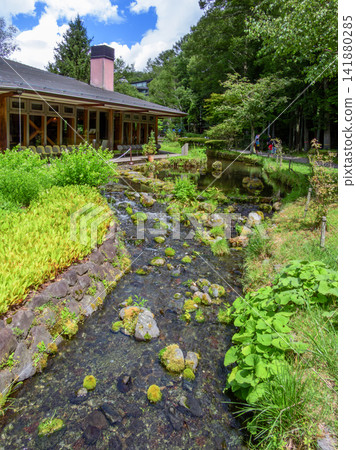 免費入場,免費停車。山梨縣忍野村佐佐奈公園景色。 免費入場,免費停車。山梨縣忍野村佐佐奈公園景色。 141880285