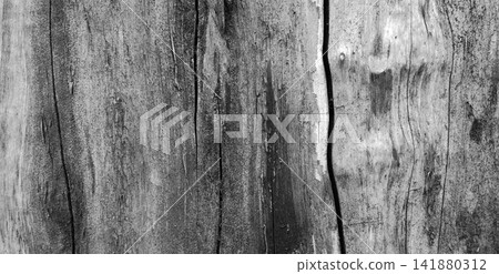 Black and white weathered wood texture with deep cracks Black and white weathered wood texture with deep cracks 141880312