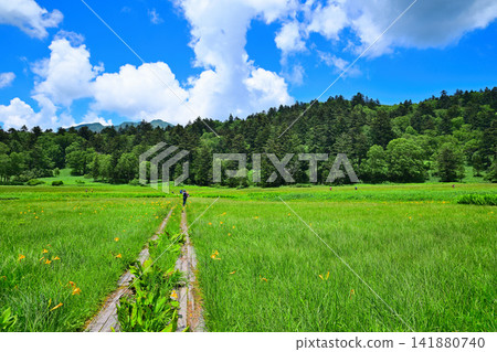 Blue sky, white clouds, Oze Marshland, a summer scene Blue sky, white clouds, Oze Marshland, a summer scene 141880740