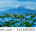 睡蓮和富士山（山梨縣河口湖 9 141880966