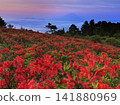 山巒燃燒，晨曦初露。 （山梨縣甘利山） 141880969