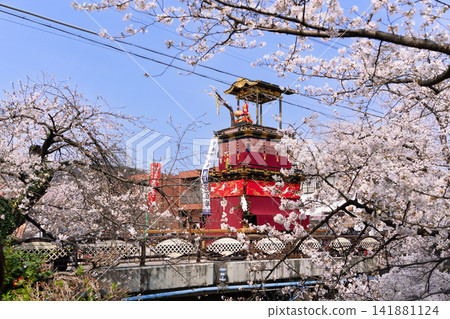 Iwakura Cherry Blossom Festival: Gojo River and Floats Iwakura Cherry Blossom Festival: Gojo River and Floats 141881124