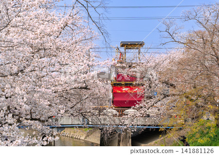 岩倉櫻花節:五條川和花車 岩倉櫻花節:五條川和花車 141881126