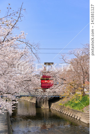 岩倉櫻花節:五條川和花車 岩倉櫻花節:五條川和花車 141881127