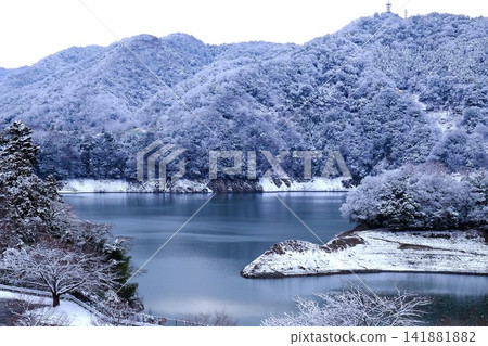 【神奈川縣】築井湖岸被白雪覆蓋 【神奈川縣】築井湖岸被白雪覆蓋 141881882